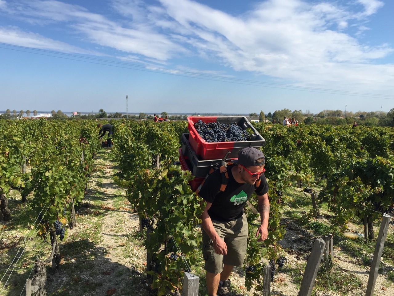 Pontet Canet