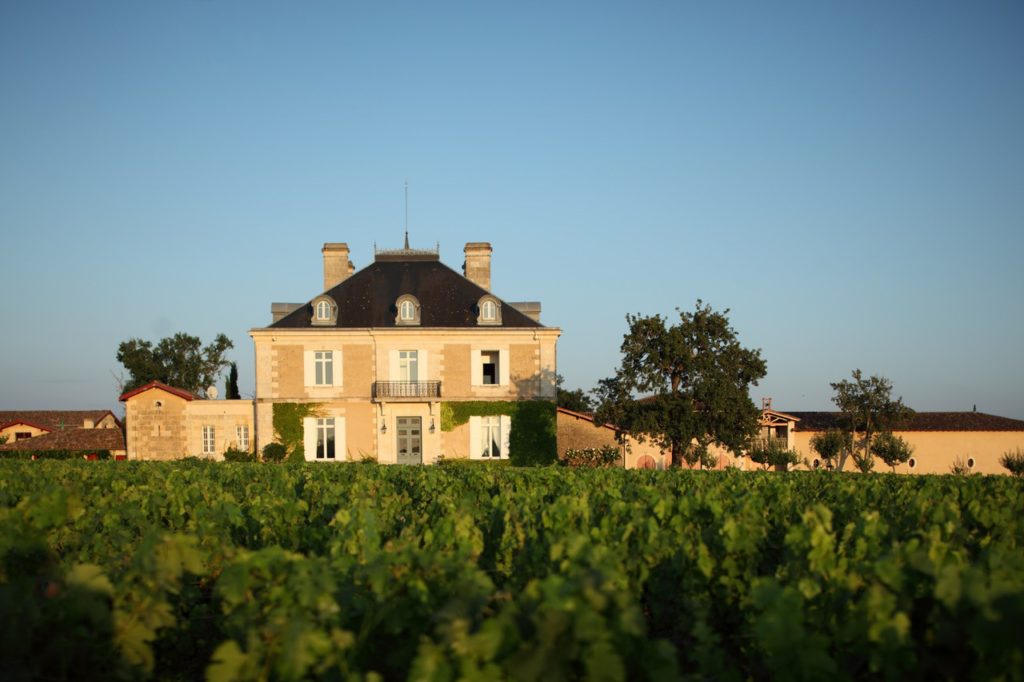 View from the Old Vines, Haut Bailly