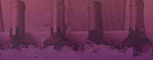 Source wine hero banner