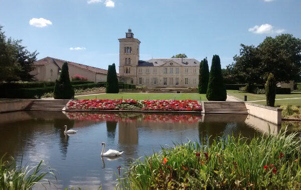 A pond with a swan in the foreground, an old chateau in the background