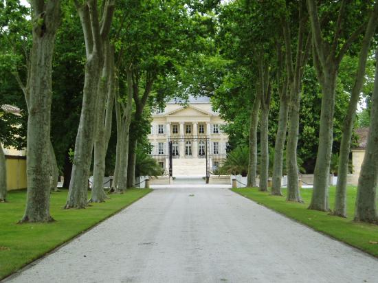 Image shows Chateau Margaux