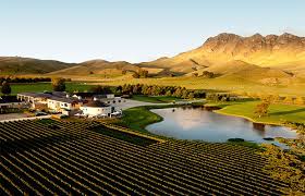 Image shows the Craggy Range winery.